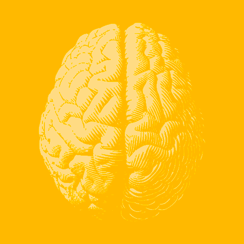 Safe the Date! Final Conference of the CSA BrainHealth on 15 October 2025 in Brussels