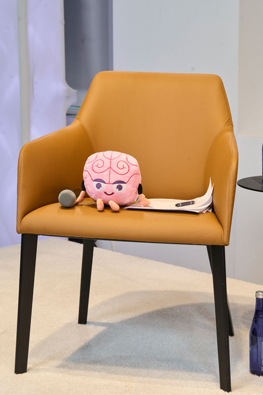 Brain toy on a chair