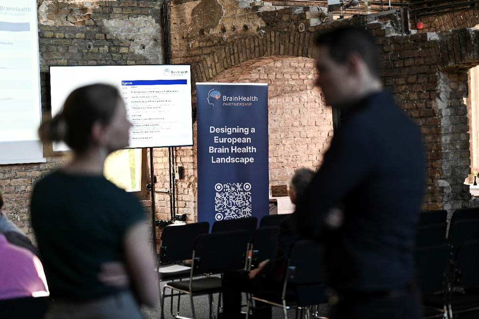 Rollup CSA BrainHealth: Designing a European Brain Health Landscape